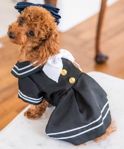 人気ショップ ペット ドッグウェア ゴールドボタンセーラーワンピース