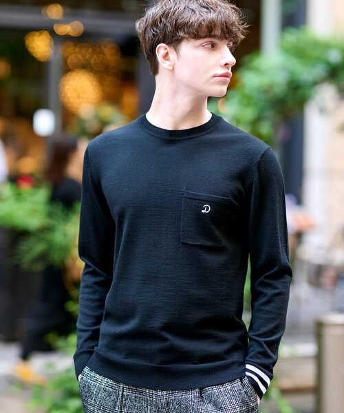 ドレステリア（DRESSTERIOR）/ウォッシャブルファインメリノ クルーネックニット DRESSTERIOR（ドレステリア） セーター ニット ファインメリノ クルー