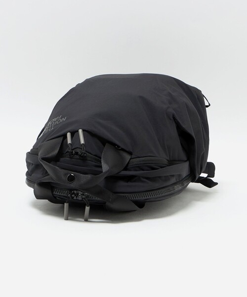 THE NORTH FACE デイバック リュック 「THE FACE」ネバー