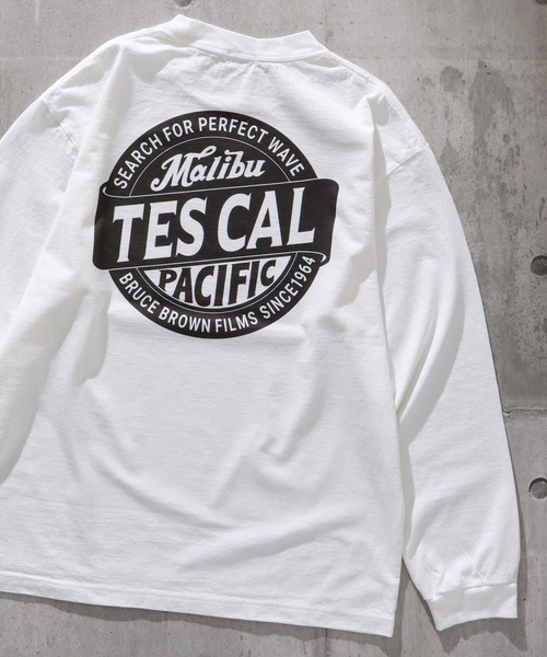 The Endless Summer（エンドレスサマー） tシャツ TES OLD SIGN LOGO