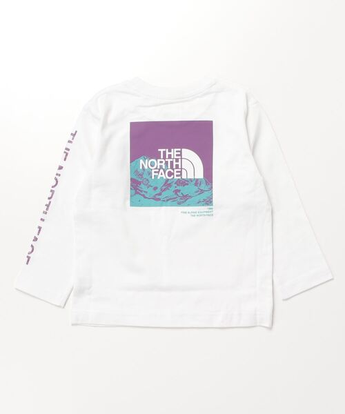 THE NORTH FACE tシャツ ザ ノース フェイス L/S Sleeve Graphic