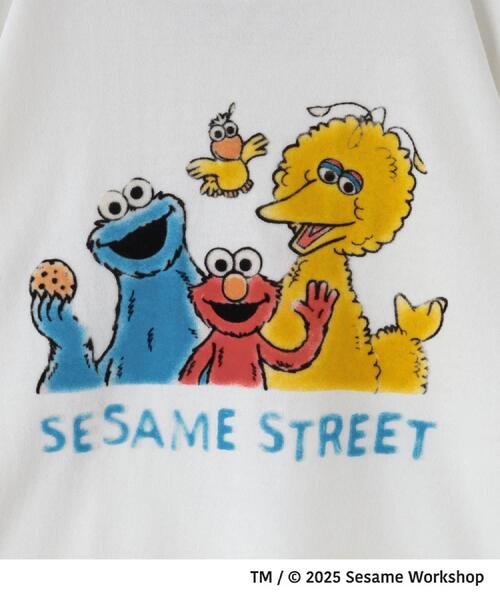 SESAME STREET（セサミストリート） tシャツ 「110-160」セサミ