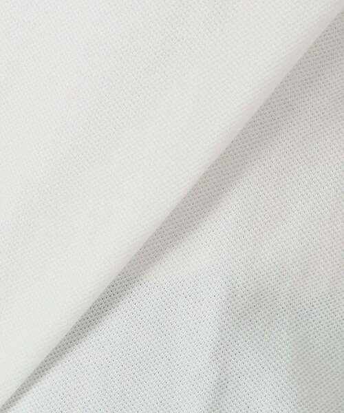 ポロシャツ ポロ LACOSTE/ラコステ 別注 POLO SHIRTS ポロシャツ PF013J-99 レディースの画像