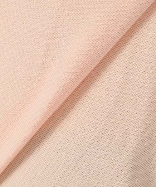 ポロシャツ ポロ LACOSTE/ラコステ 別注 POLO SHIRTS ポロシャツ PF013J-99 レディースの画像