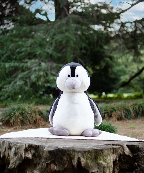 NICI大きなぬいぐるみ (２つ) 値下げ特価‼ 楽天市場】【SALEクーポン対象】 【日本正規代理店】NICI(ニキ