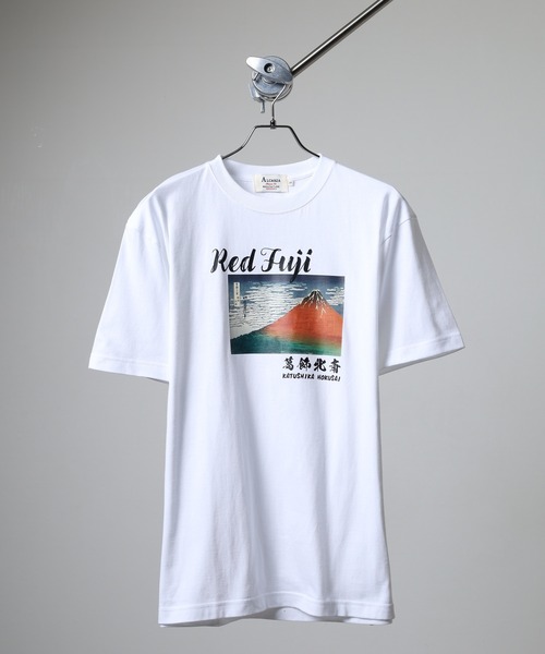 Admiral ストライプTシャツ L 新品 FUNALIVE（ファンアライブ） tシャツ ALCARZA 葛飾北斎 Tシャツ メンズ