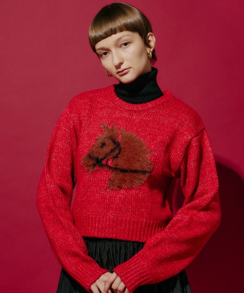 PERNA（ペルナ） ニット セーター シャギーホースニットプルオーバー