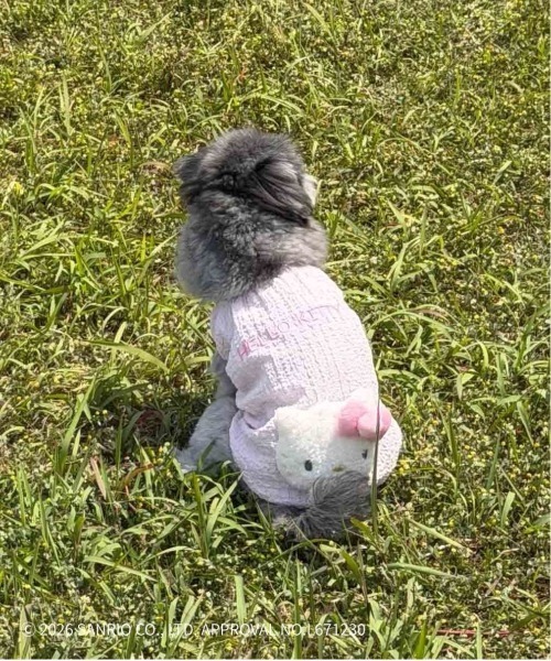 AS KNOW AS（アズノゥアズ） 犬 服 サンリオキャラクターズ ペット用ほ
