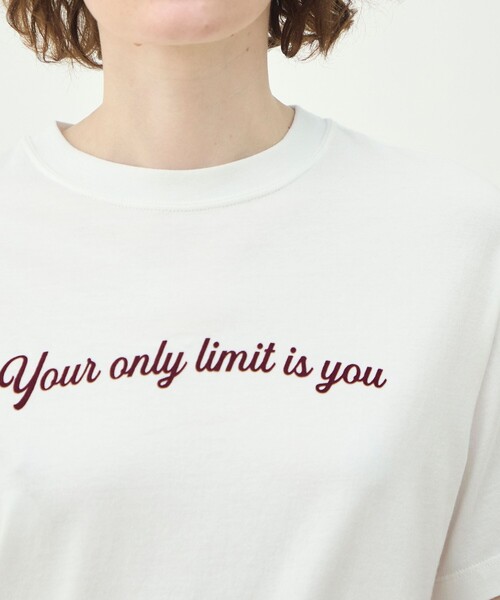 tシャツ コットンロゴプリント Tシャツ レディースの画像