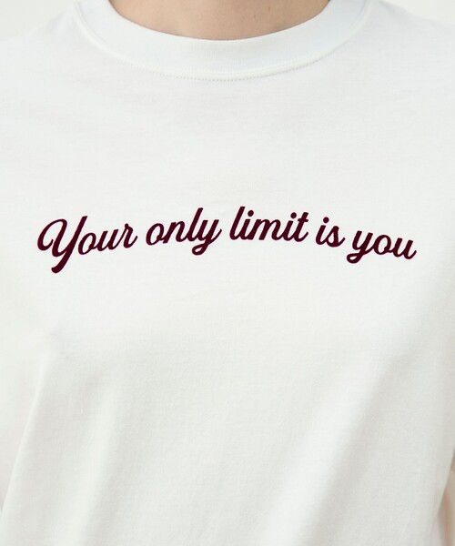 tシャツ コットンロゴプリント Tシャツ レディースの画像