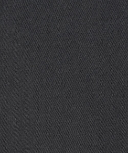 tシャツ コットンロゴプリント Tシャツ レディースの画像