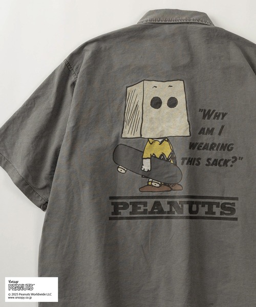 PEANUTS シャツ 「75」「PEANUTS/ピーナッツ」×「NUTMEG/ナツメグ」ダブルネーム ロゴ刺繍 Mr.SUCK グラフィック ...