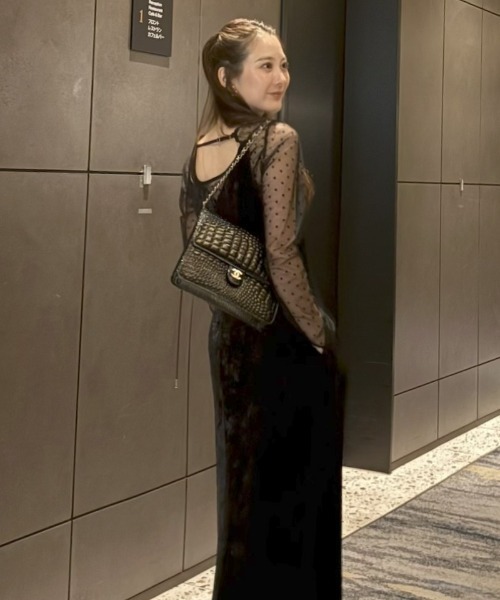 ANDRESD ブラウス シャツ ドットシアートップス / Dot Sheer Tops