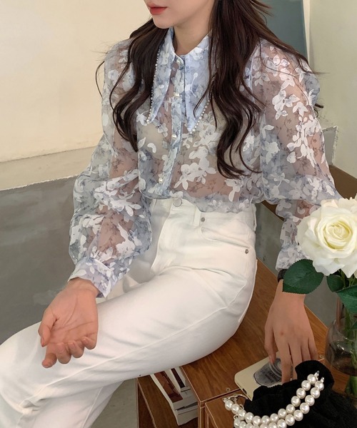 ANAYI 花柄シースルーブラウス　美品 Eternal Line 2025】ジョーゼットフラワーモチーフ ブラウス|ANAYI
