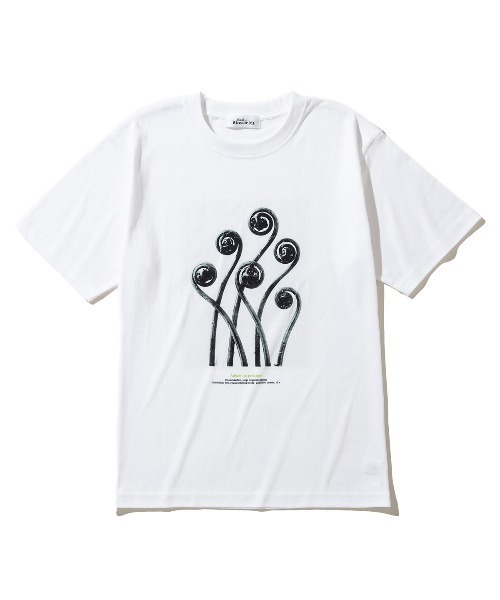 tシャツ Kinetics WOMEN Adiantum pedatum（キネティクスウィメン アジアンタム ペダツム） レディース
