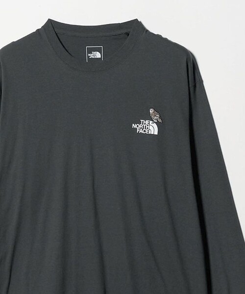 THE NORTH FACE（ザ ノースフェイス） tシャツ 「THE NORTH FACE
