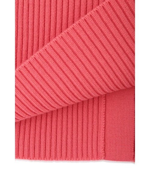 PINKY&DIANNE（ピンキー アンド ダイアン） スカート RIBニットタイト