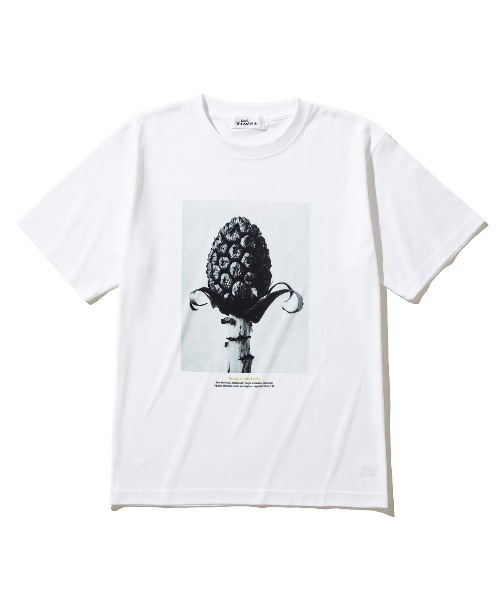 tシャツ Kinetics WOMEN Petasites officinalis（キネティクスウィメン ペタシテス オフキナリス） レディース