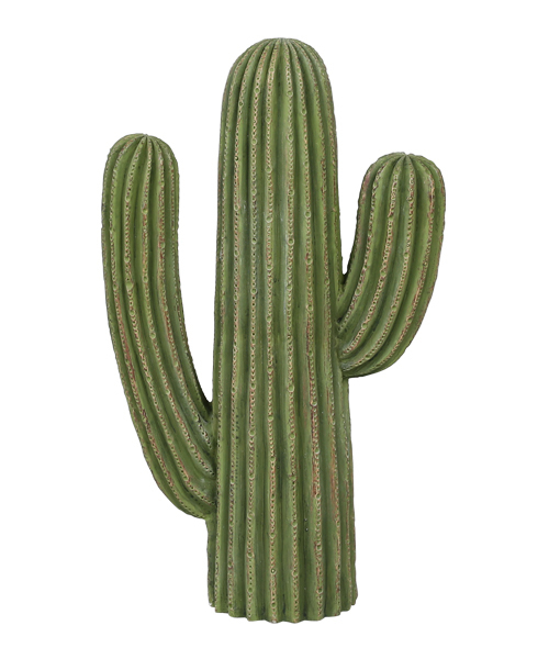 Oka-D　カクタス　スケルトン　パーチ　No.356、No.512 DULTON インテリア CACTUS D / カクタス : ZOZOTOWN Yahoo!店