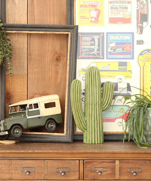 DULTON（ダルトン） インテリア CACTUS D / カクタス : ZOZOTOWN Yahoo