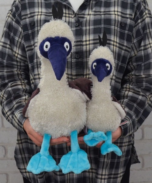 nici（ニキ） おもちゃ NICI/WF25 アオアシカツオドリ スーラ