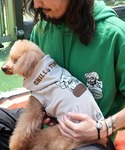 犬 服 「犬服・防寒・着脱簡単」DOGチルタイ...の詳細画像2