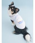 犬 服 「CAT&DOG」「Birthday」...の詳細画像1