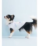 犬 服 「CAT&DOG」「Birthday」...の詳細画像2