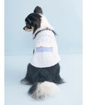 犬 服 「CAT&DOG」「Birthday」...の詳細画像4