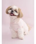犬 服 「CAT&DOG」「Birthday」...の詳細画像5