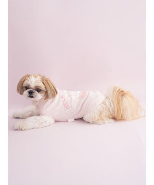 ジェラートピケ犬服★ケーキ柄2枚セットS★ジェラピケcat&dog スムーズィー gelato pique（ジェラートピケ）【CAT&DOG】【販路限定商品】オータム
