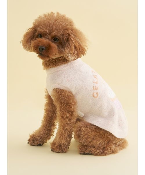 gelato pique（ジェラートピケ） 犬 服 「CAT＆DOG」「Birthday