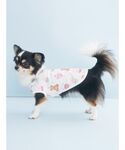 犬 服 「CAT&DOG」「Birthday」...の詳細画像4