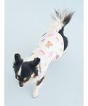 犬 服 「CAT&DOG」「Birthday」...の詳細画像5