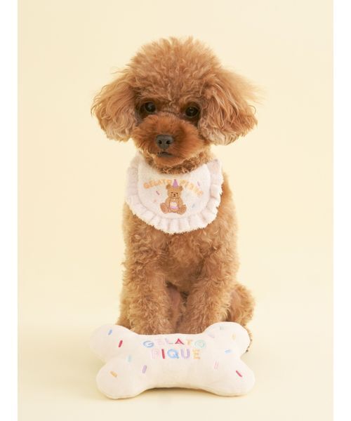 gelato pique（ジェラートピケ） 「CAT＆DOG」「Birthday」ボーントイ