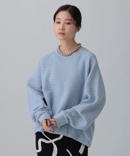LEPSIM（レプシィム） tシャツ カットジャガードデザインプルオーバー