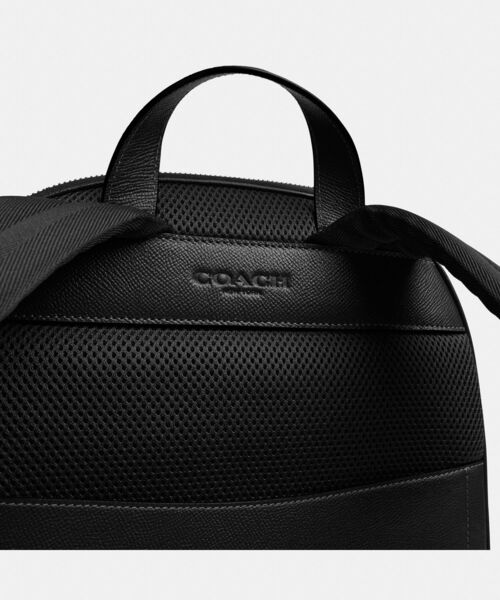 デイバック リュック ウェイド バックパック メンズ レディースの画像