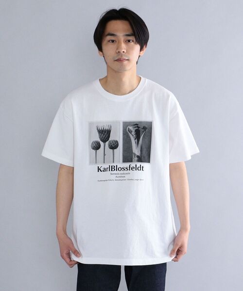 SHIPS tシャツ Tシャツ メンズ SHIPS: Karl Blossfeldt フォト