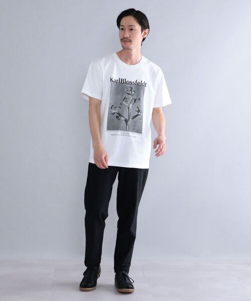SHIPS tシャツ Tシャツ メンズ SHIPS: Karl Blossfeldt フォト
