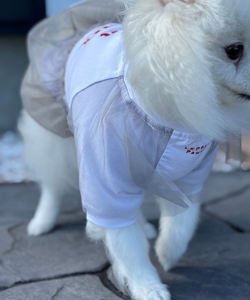 LEPSIM（レプシィム） 犬 服 「PET」ロゴチュールT 611122 : ZOZOTOWN