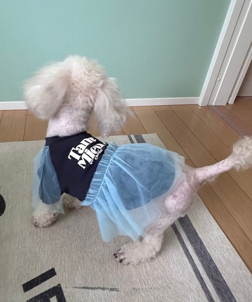 LEPSIM（レプシィム） 犬 服 「PET」ロゴチュールT 611122 : ZOZOTOWN