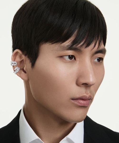 SWAROVSKI（スワロフスキー） イヤリング 「公式」「スワロフスキー