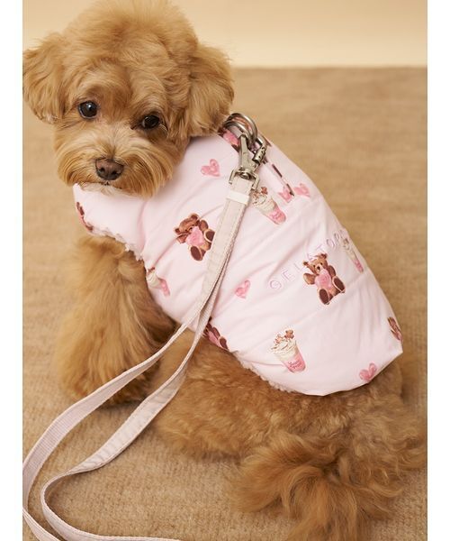adidas（アディダス） 犬 服 ペット カリ Tシャツ / アディダス