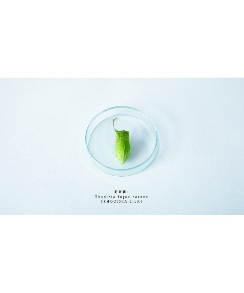 化粧水 「パレリノ」パレリノ ロディニアシルクスキンローション(150mL+トライアル30mL)　セット(MA)_3
