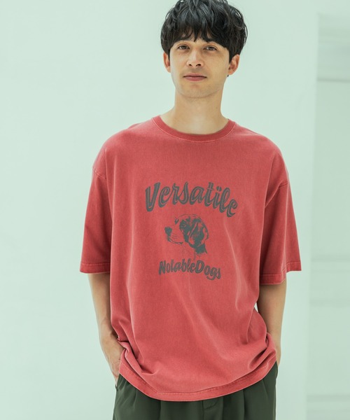 tシャツ ピグメントアニマル半袖T / 326023 メンズ レディース | LAKOLE | 04
