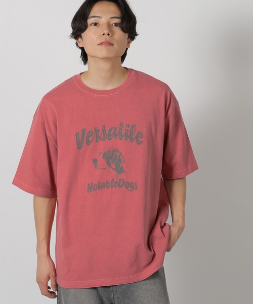 tシャツ ピグメントアニマル半袖T / 326023 メンズ レディース | LAKOLE | 18