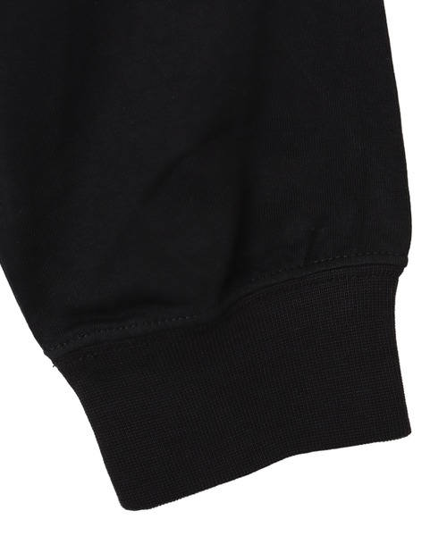 tシャツ THE NORTH FACE L/S FD Nuptse Cotton Tee / ザ・ノース・フェイス ロング スリーブ フラッシュ ドラ | THE NORTH FACE | 10