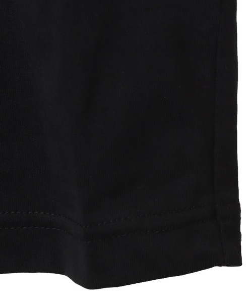 tシャツ THE NORTH FACE L/S FD Nuptse Cotton Tee / ザ・ノース・フェイス ロング スリーブ フラッシュ ドラ | THE NORTH FACE | 11
