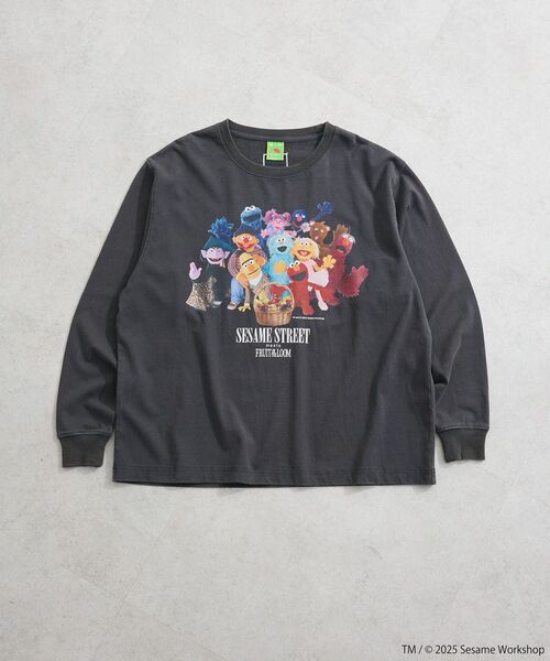 FRUIT OF THE LOOM（フルーツオブザルーム） tシャツ セサミストリート