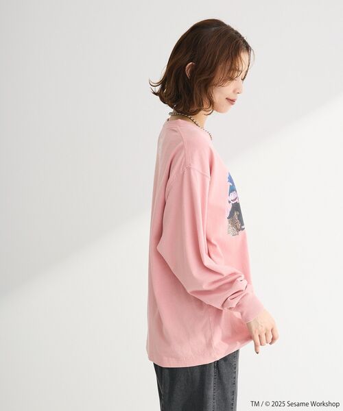 FRUIT OF THE LOOM（フルーツオブザルーム） tシャツ セサミストリート